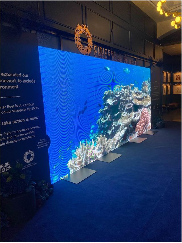LED video wall hire for aquarium